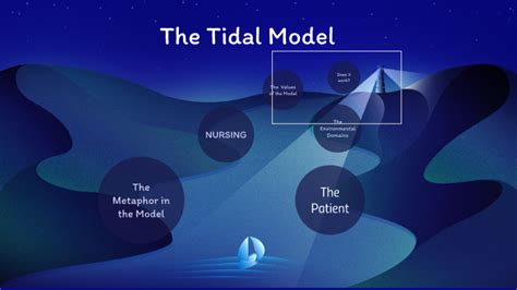 tidal model nursing theory|Tidal Model .